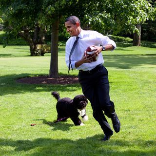 オバマ元大統領、「最大の味方」愛犬ボーの死を語る