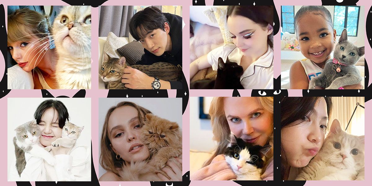 猫好き♡海外セレブたちのほっこりニャンショット32連発