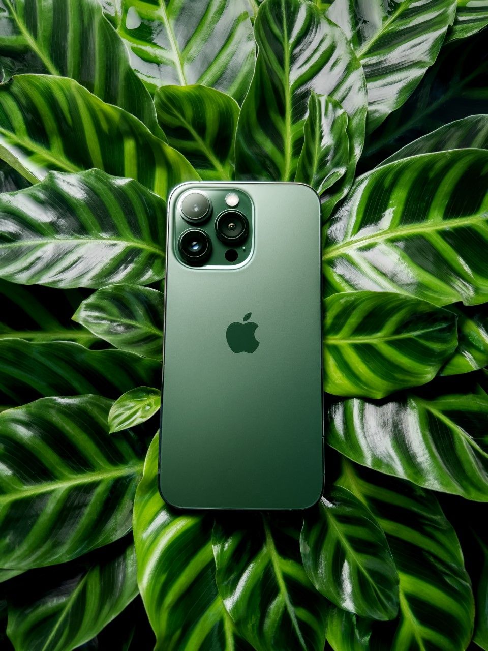 Alpine Green Apple iPhone 13 Review