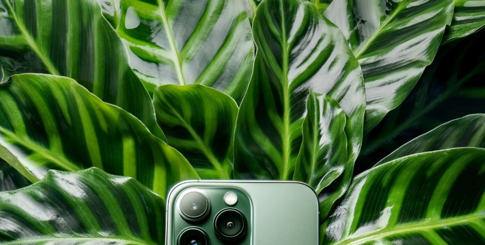 This is what the Alpine Green iPhone 13 Pro looks like