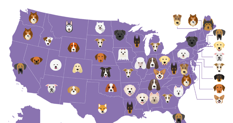 Most Popular Dog Breeds by State