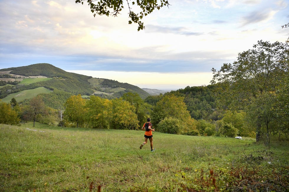 tartufo running