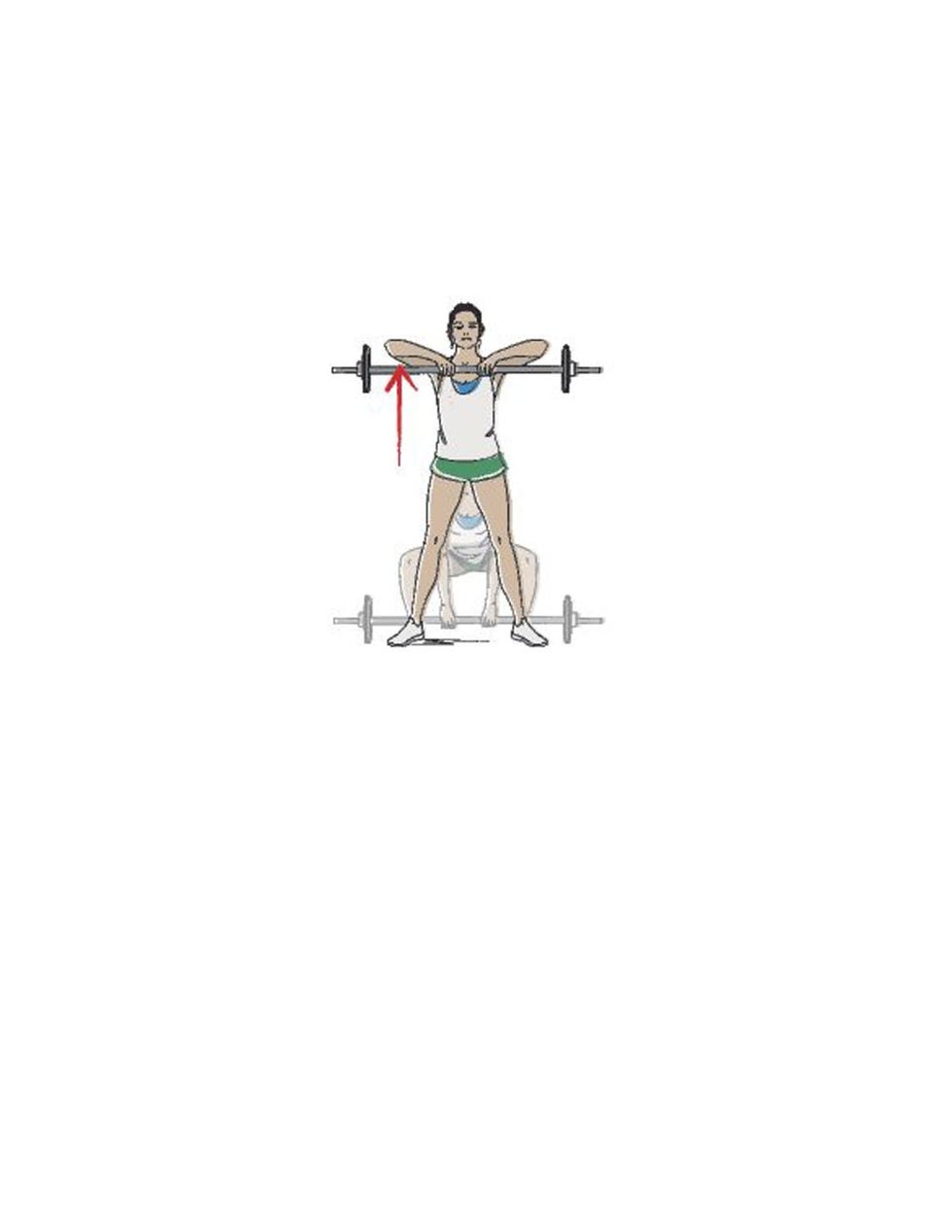 Exercise Technique Manual for Resistance Training