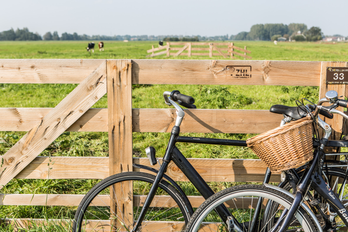 Ontdek Cheese Valley op de fiets en bezoek onderweg n van de vele kaasboerderijen