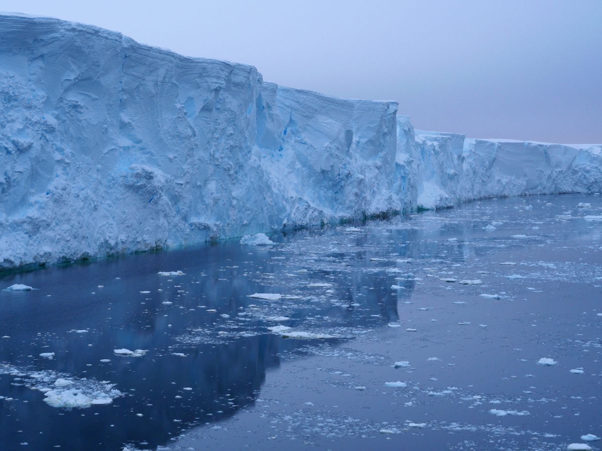 thwaites ice cliff the glacier currently contributes four percent of annual global sea level rise