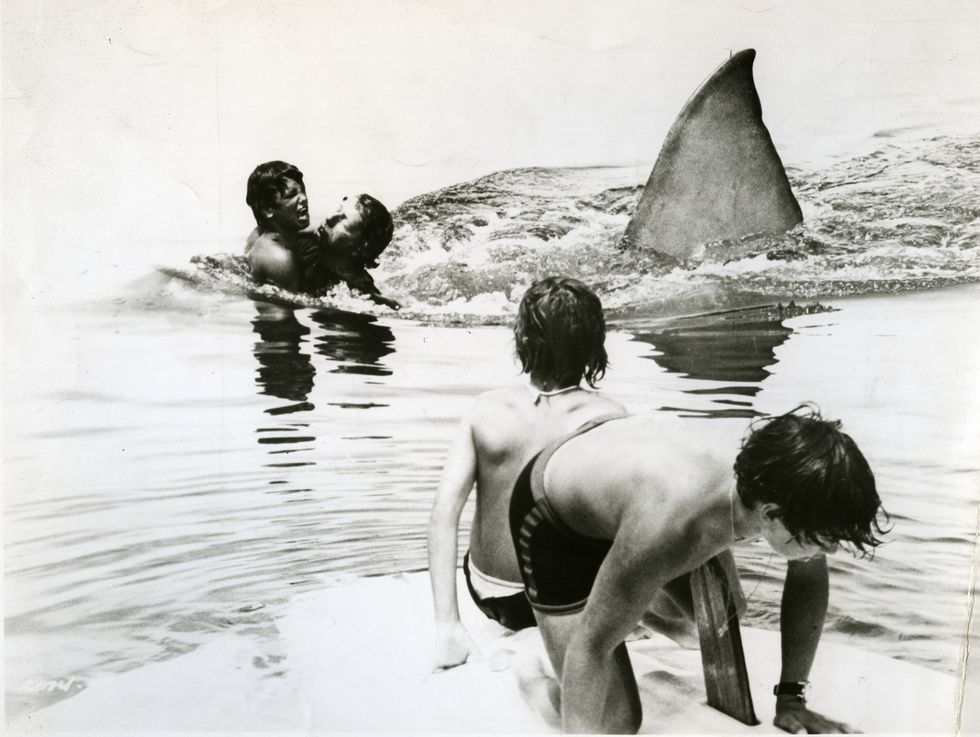 tiburon pelicula steven spielberg 1975
