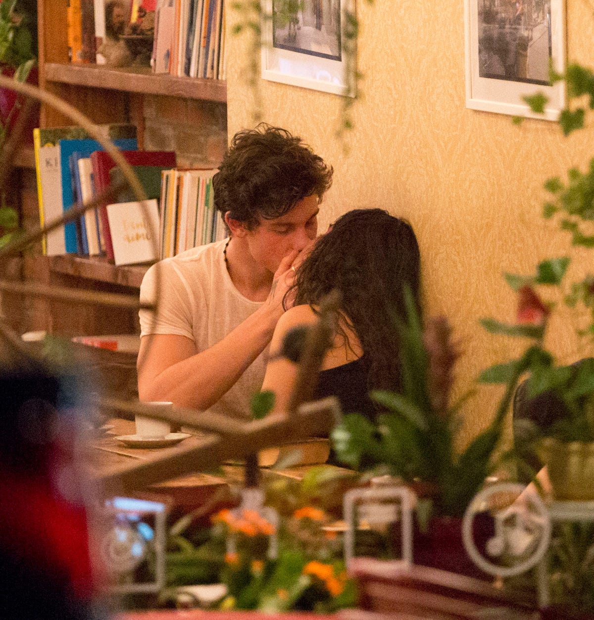 Shawn Mendes and Camila Cabello Are Now Making Out Unabashedly in ...