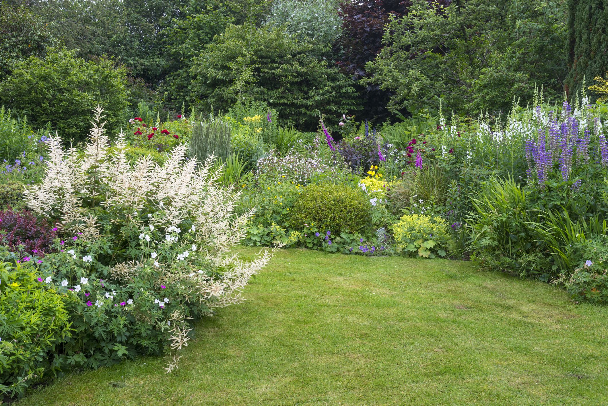 Natural lawns discount