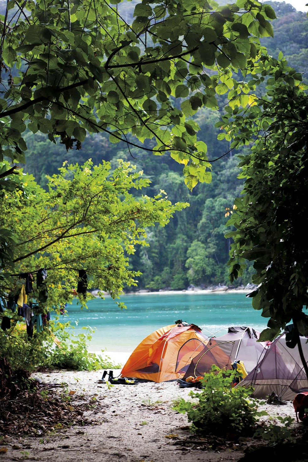 vacaciones tiendas de campaña en el bosque junto al lago