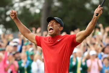 tiger woods - net worth, career