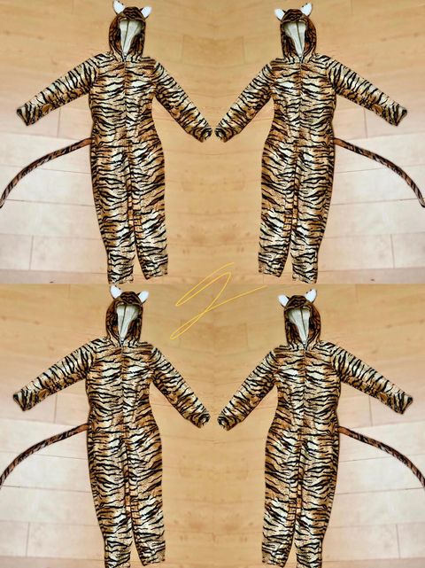the tiger costumes
