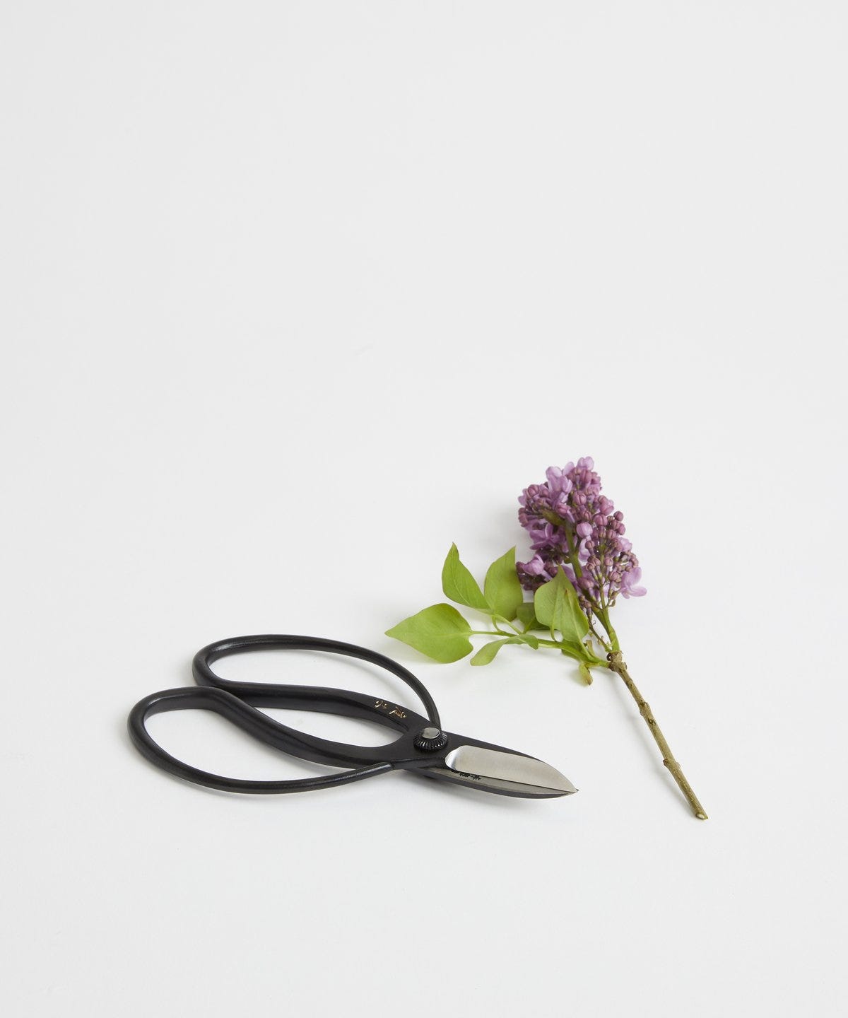 tijeras de jardinería