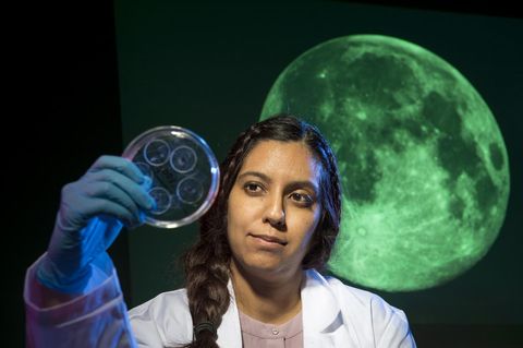 Sonia Tikoo, an assistant professor in Rutgers-New Brunswick's Department of Earth and Planetary Sciences, looks at moon rock samples in a Petri dish.