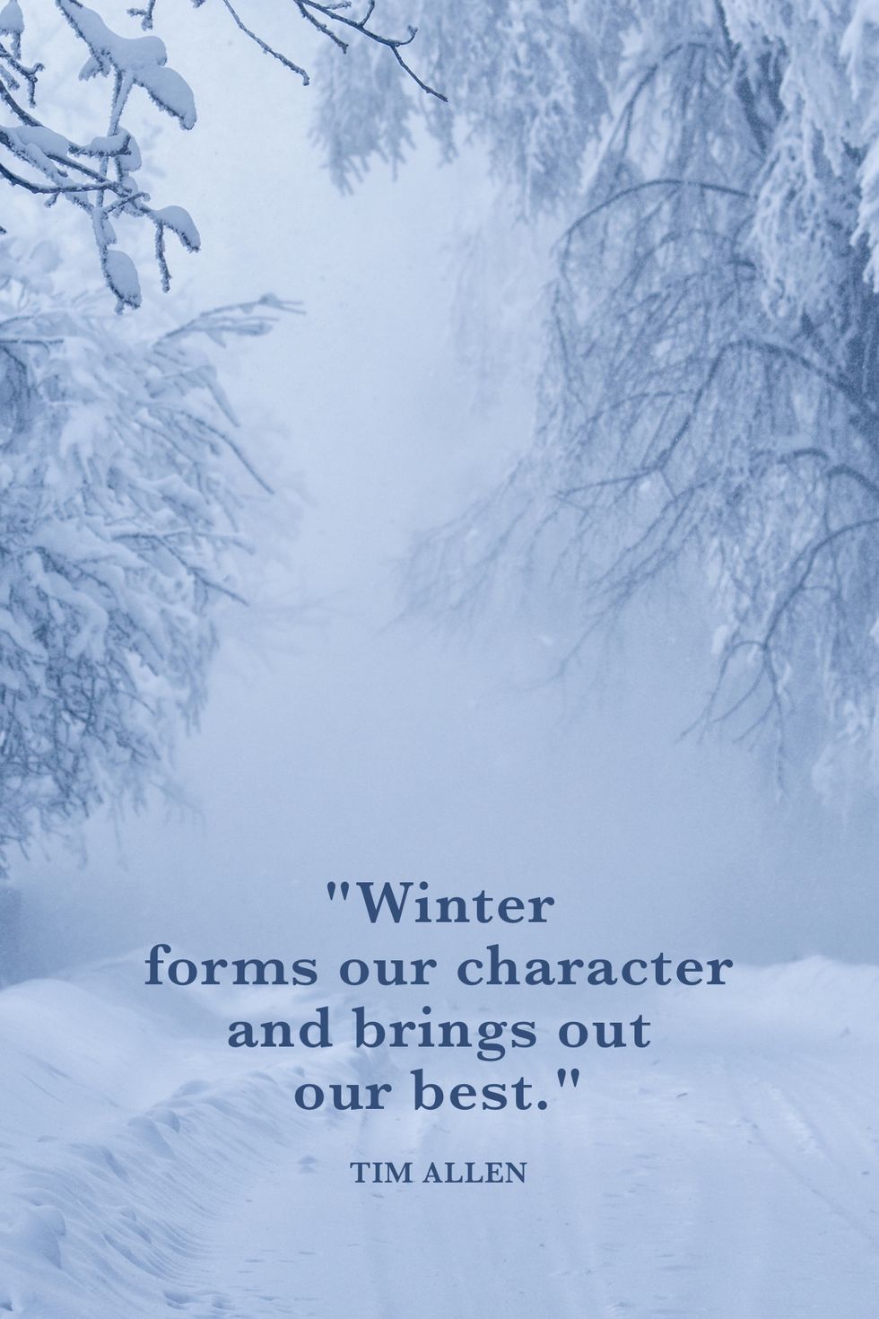 Tim Allen Winter Quotes