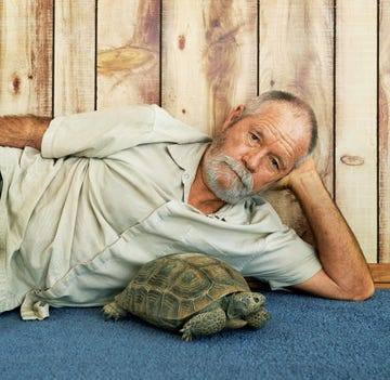 tim shields, tortoise, mojave desert, technotort, laser, raven