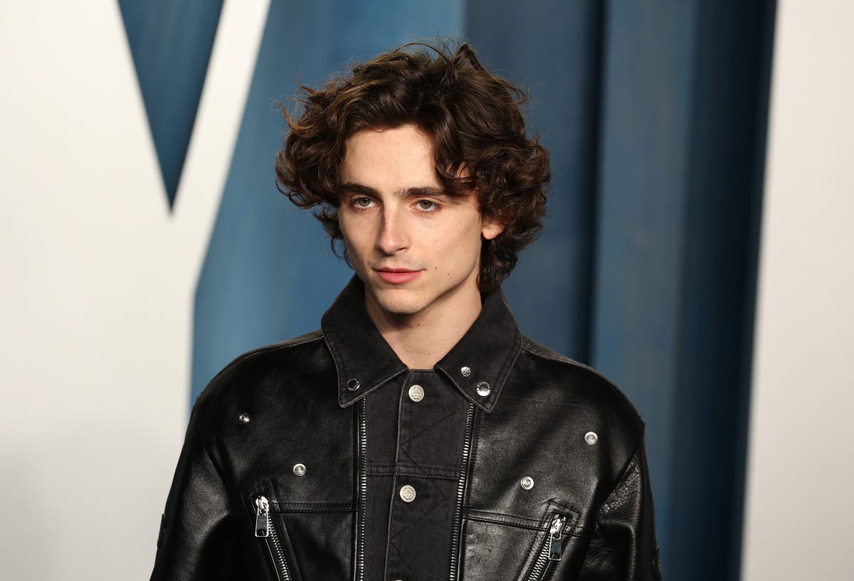 Chi è la nuova fidanzata di Timothée Chalamet insieme al Coachella