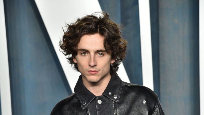 Celebrity Photos Posters Timothee Chalamet hot curly hair close up