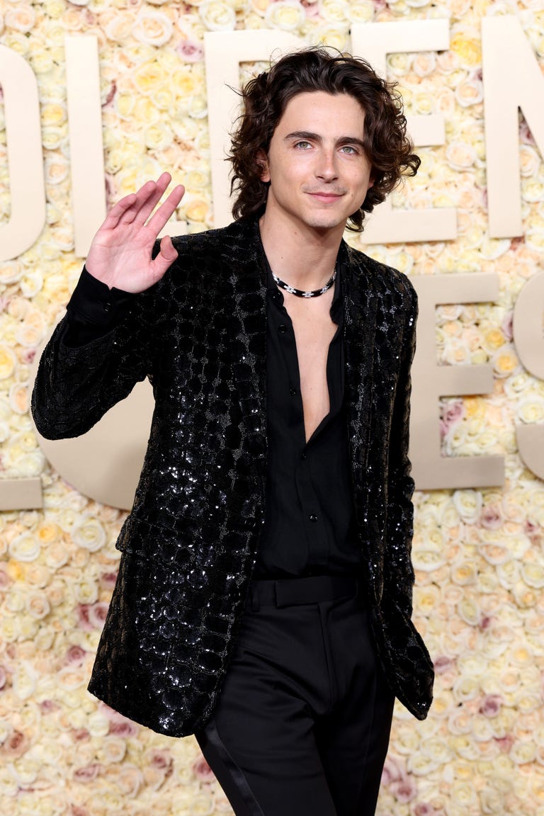 Timothée Chalamet Rocks Celine Homme at Golden Globes 2024