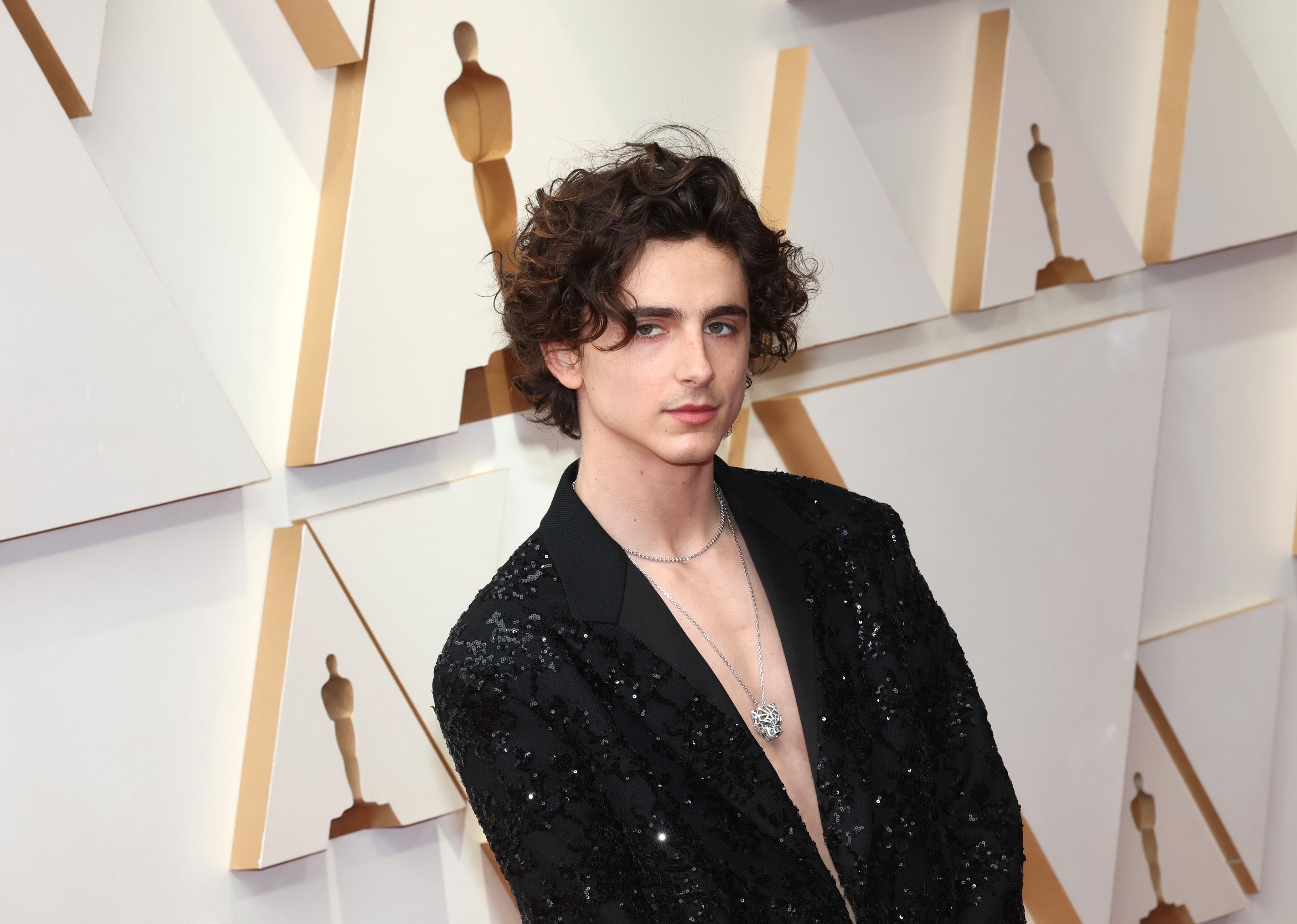 Timothée Chalamet Is Shirtless at the 2022 Oscars