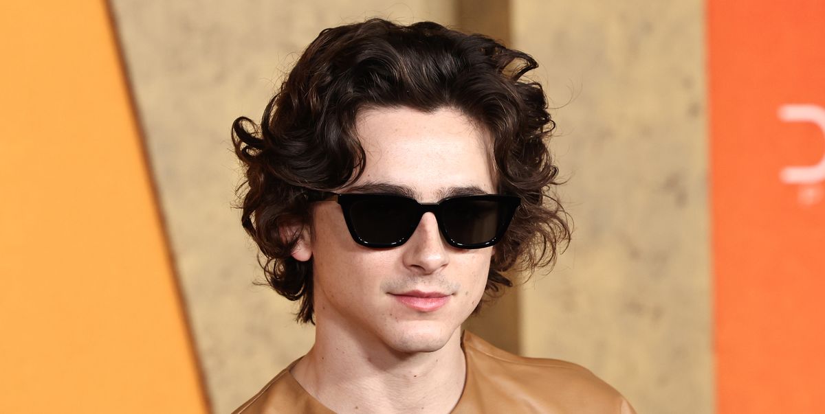 Why Timothée Chalamet Didn’t Walk With Kylie Jenner at the 2024 Met Gala