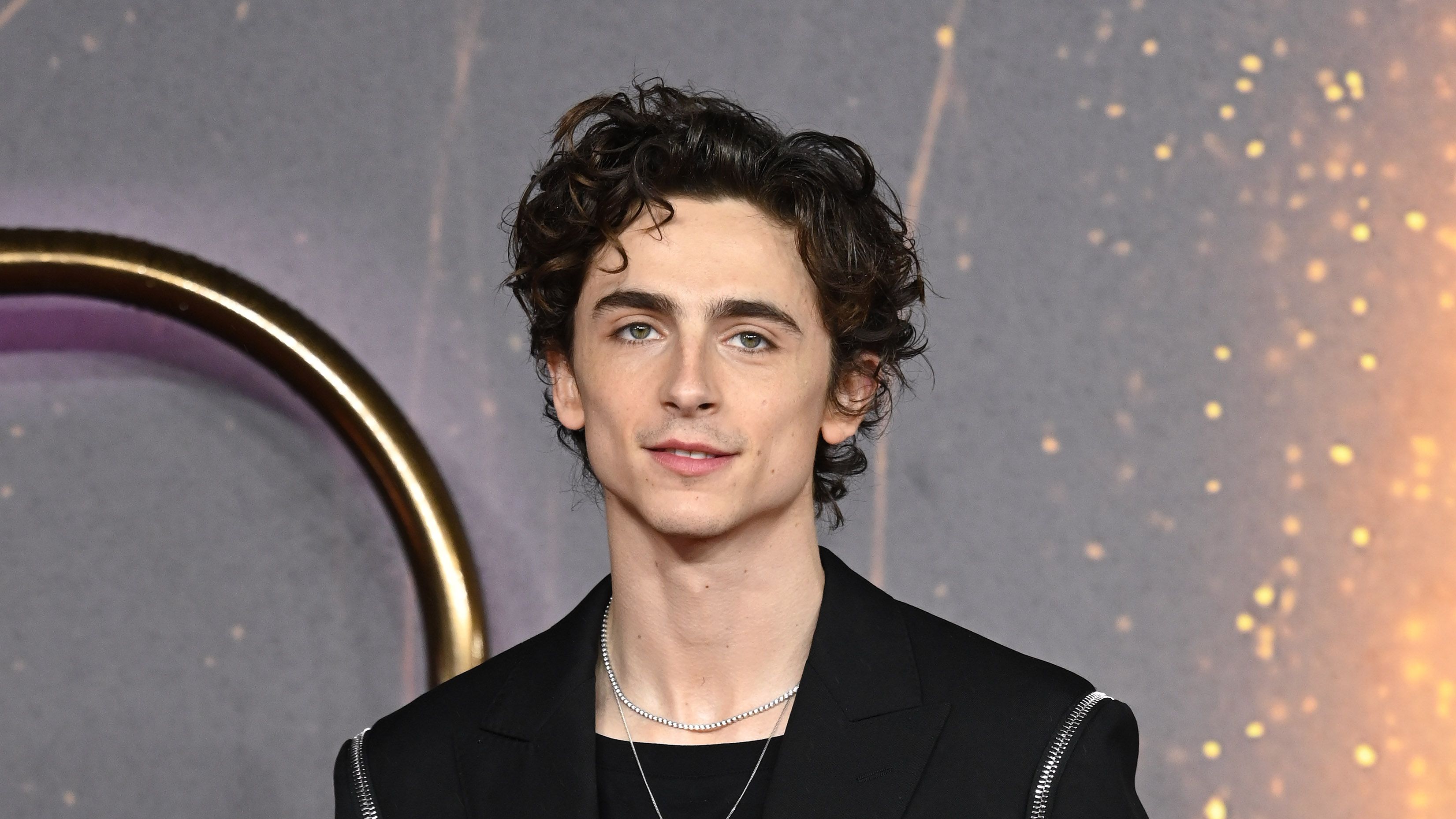 Timothée Chalamet's Dating History - Who Is Timothée Chalamet Dating?
