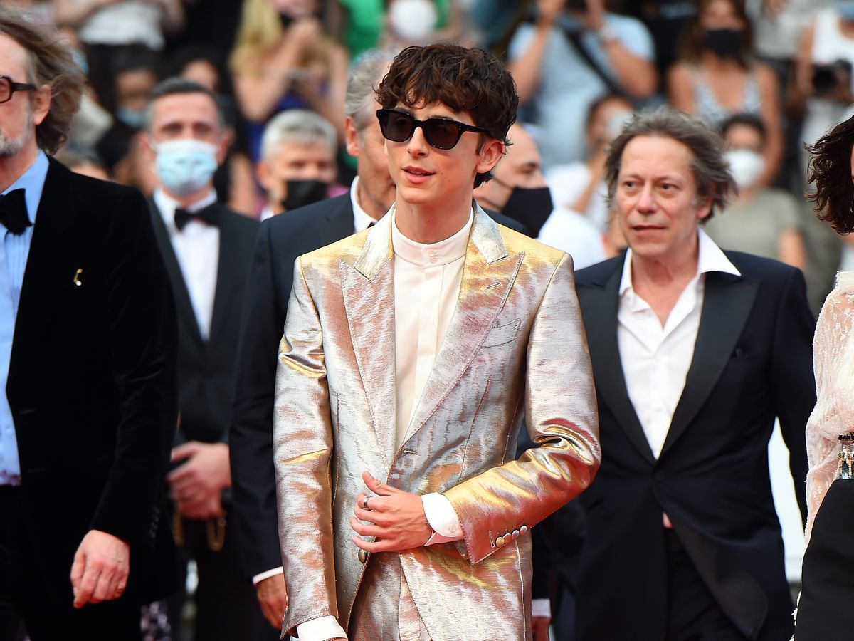 Timothée Chalamet Wears Silver Suit Outfit to Cannes: Photos
