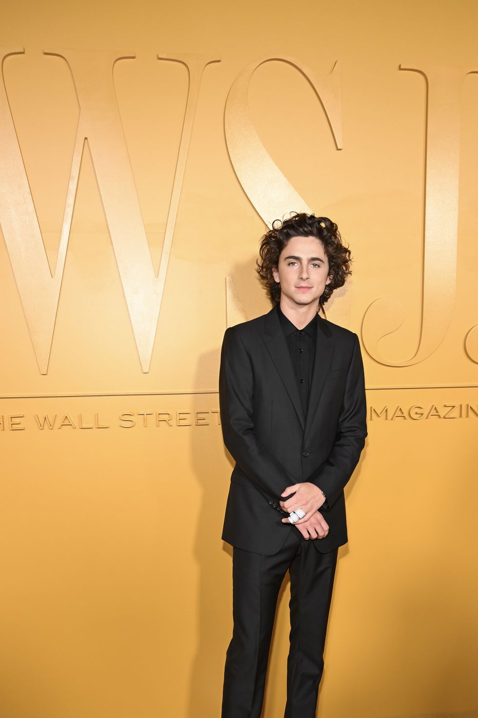 timothee chalamet at the wsj innovator awards