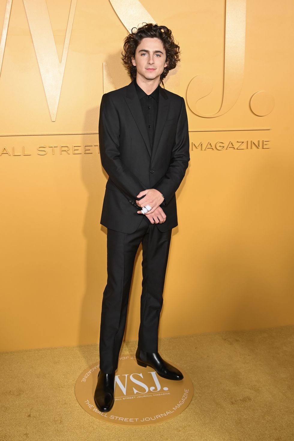 timothee chalamet at the wsj innovator awards