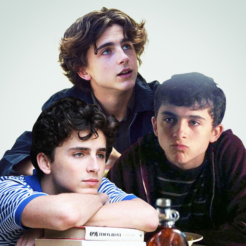 How to Watch Bones and All: Is the Timothee Chalamet Movie Streaming?