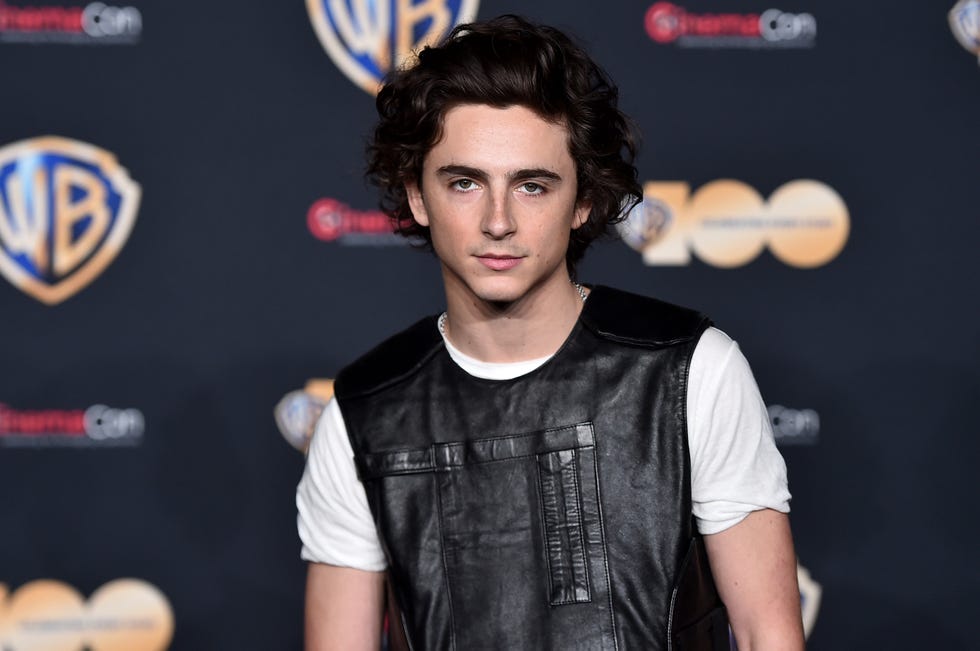 Timothée Chalamet told Greta Gerwig he 