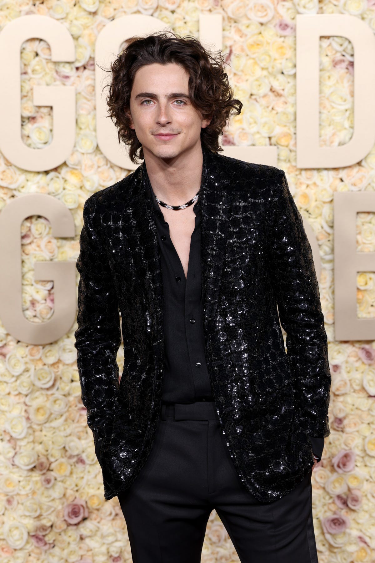 Timothée Chalamet has unique take on Bob Dylan's voice in new biopic