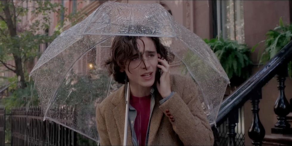 timothee chalamet, a rainy day in new york
