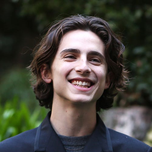 A Brief History of Timothée Chalamet's Beautiful Hair