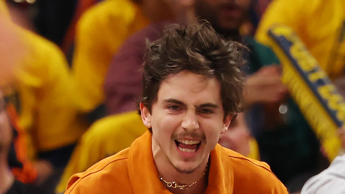 prévia de Timothée Chalamet: História de namoro