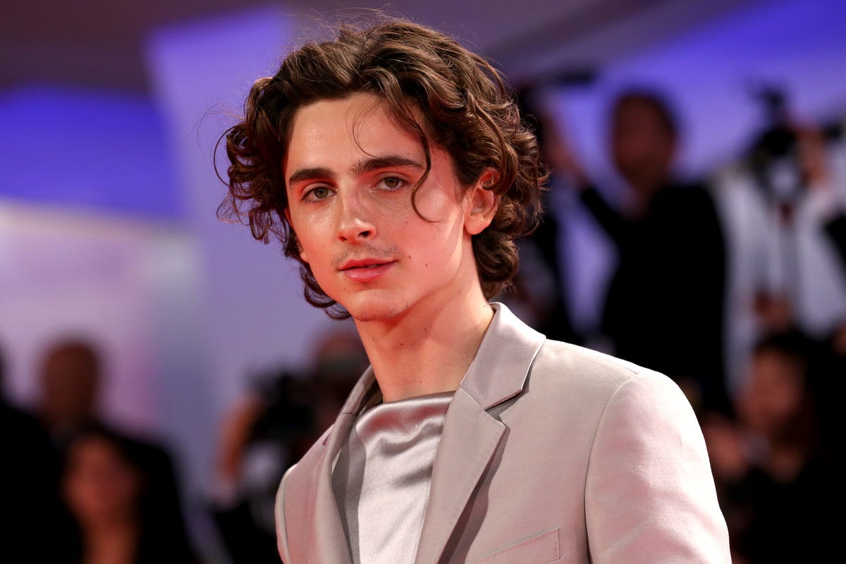 Timothée Chalamet: Long Curly Hair