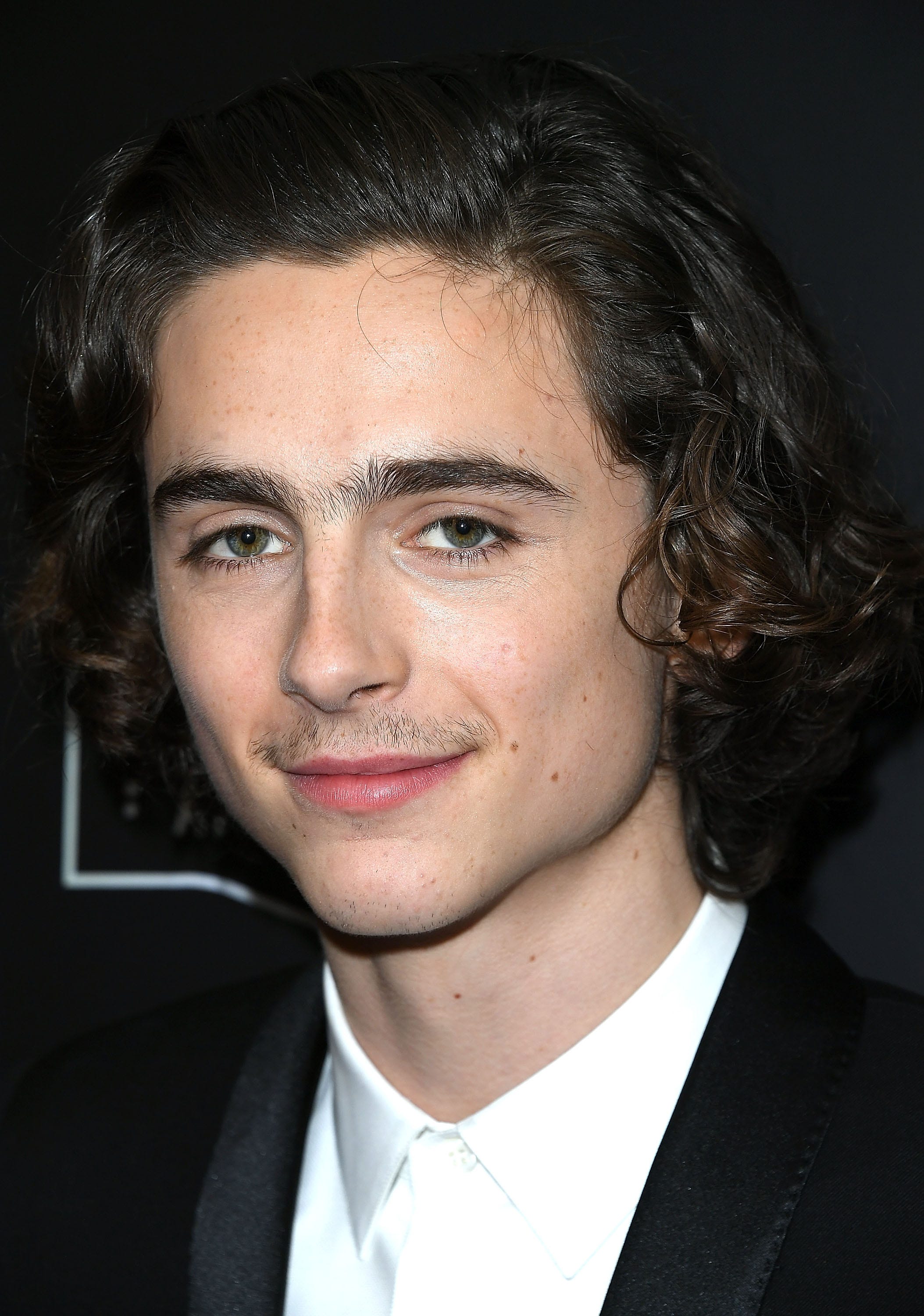 Timothée Chalamet's best moments - all the times the Call Me By Your ...