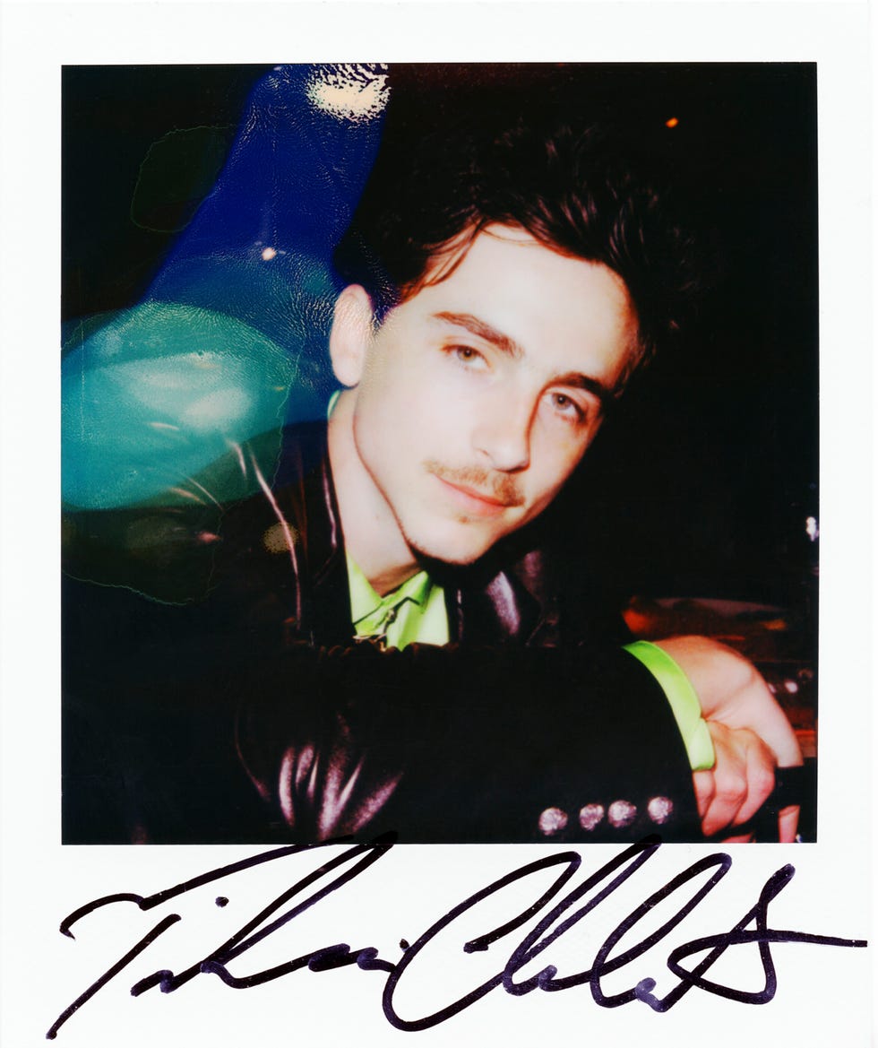 timothée chalamet