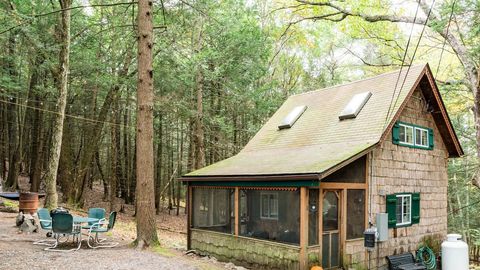 preview for Dream Rentals: Tiny Catskill Cabin