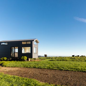 tiny home in a paddock with cows