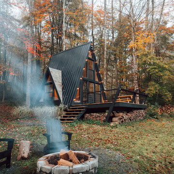 a frame tiny house in woods