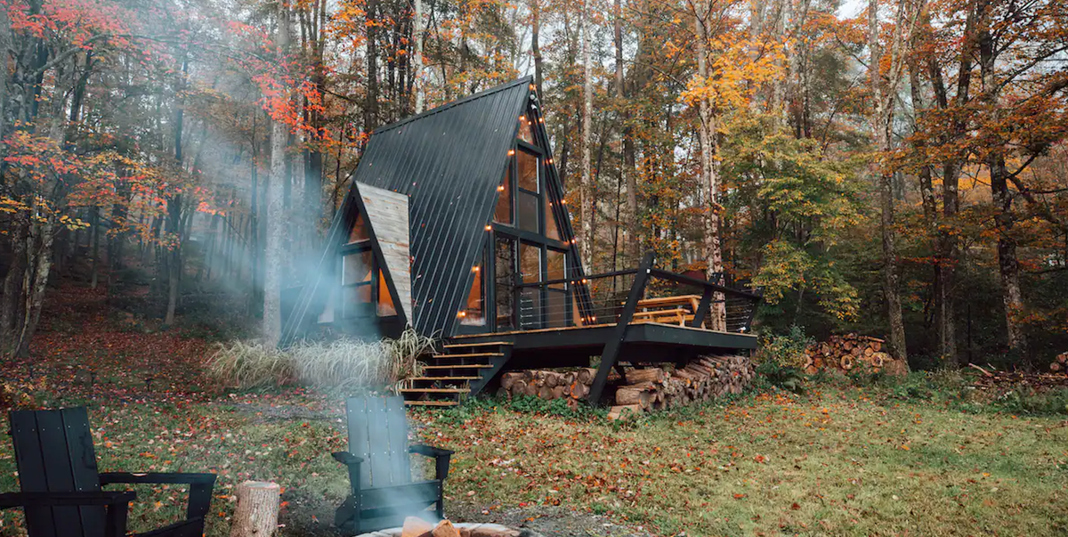 a frame tiny house in woods