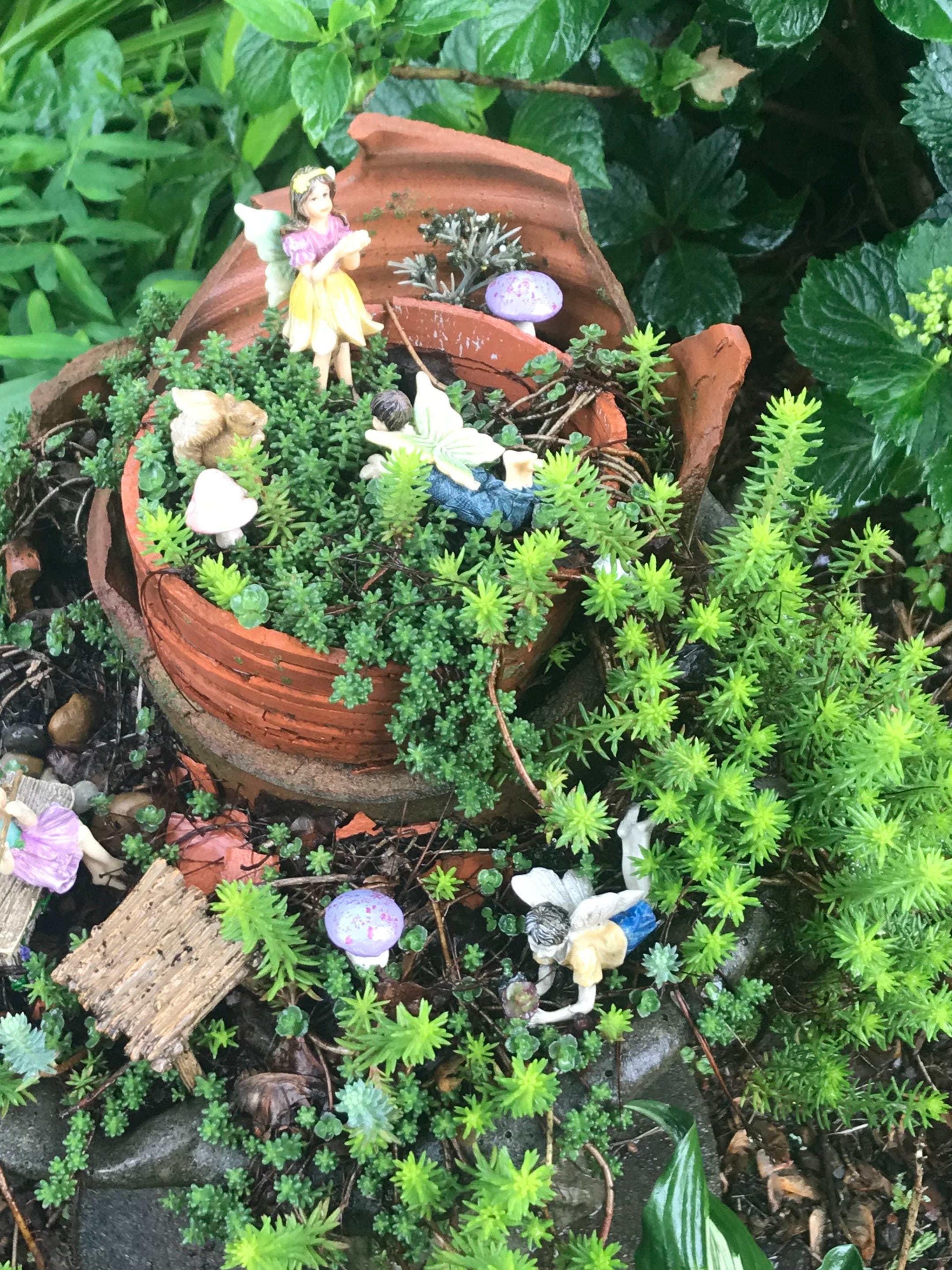 The Best Fairy Garden Ideas - How to Create a Fairy Garden