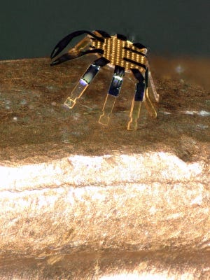 tiny robotic crab northwestern