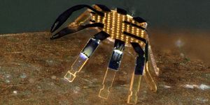 tiny robotic crab northwestern