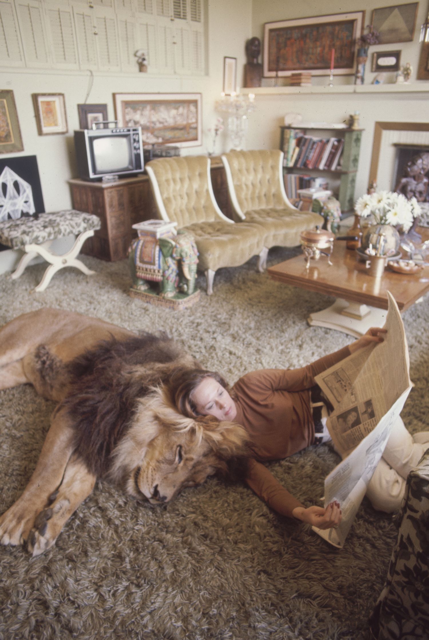 Tippi Hedren Lives With Lions Tigers