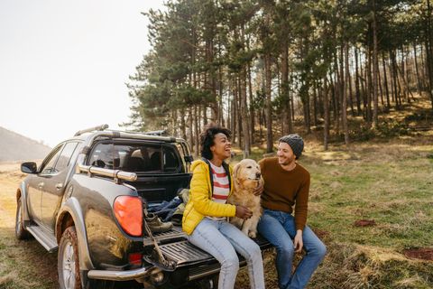couple sitting in back of car with dog
