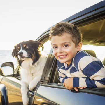 caucasian boy and dog in car windows on beach