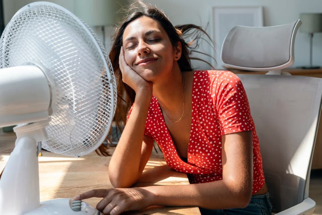 tips to survive the heatwave