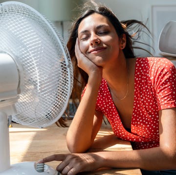 tips to survive the heatwave tips to survive the heatwave