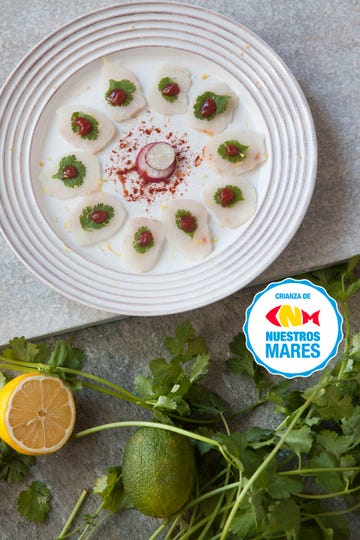 tiradito de corvina